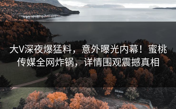大V深夜爆猛料，意外曝光内幕！蜜桃传媒全网炸锅，详情围观震撼真相