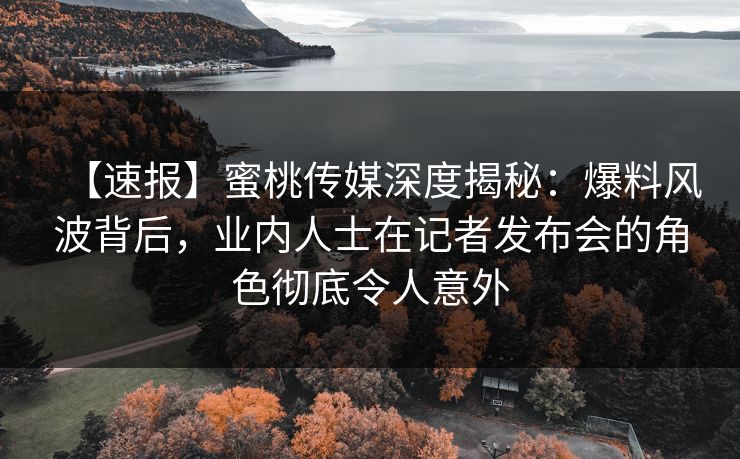 【速报】蜜桃传媒深度揭秘：爆料风波背后，业内人士在记者发布会的角色彻底令人意外