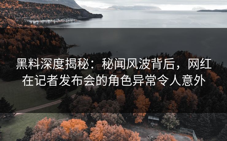 黑料深度揭秘：秘闻风波背后，网红在记者发布会的角色异常令人意外